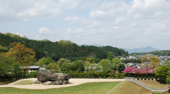 dsc_0036_13318.jpg